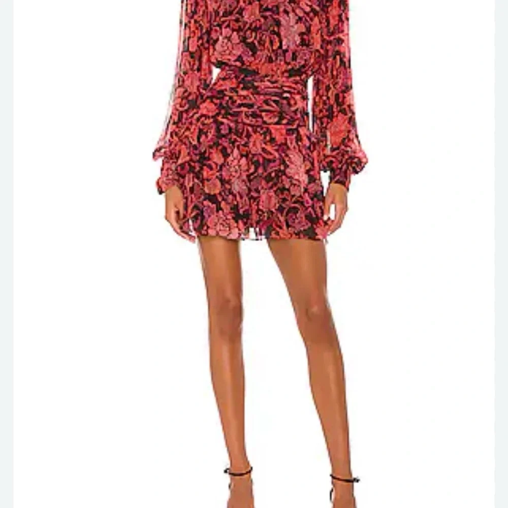 Revolve X HEMANT & NANDITA Crimson Rouched Mini Floral Dress B30 - Picture 4 of 15